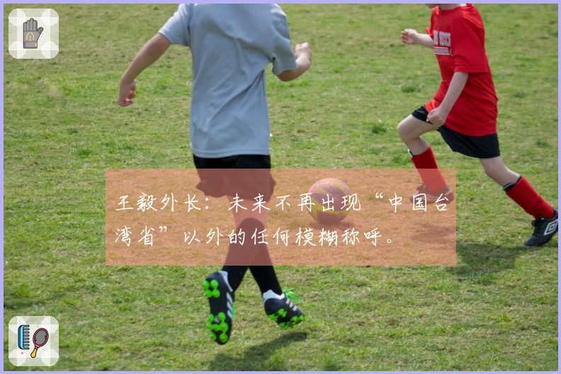 王毅外长：未来不再出现“中国台湾省”以外的任何模糊称呼。