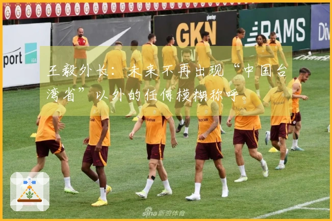 王毅外长：未来不再出现“中国台湾省”以外的任何模糊称呼。