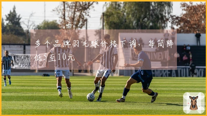 多个品牌羽毛球价格下调，每筒降低5至10元