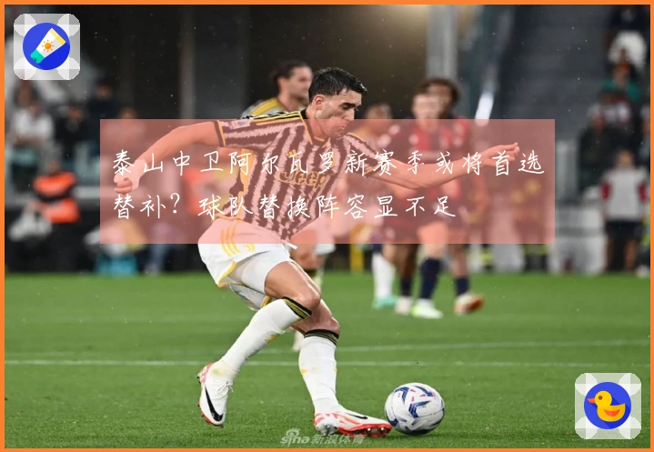 泰山中卫阿尔瓦罗新赛季或将首选替补？球队替换阵容显不足