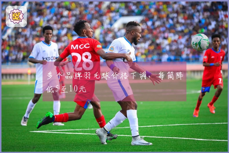 多个品牌羽毛球价格下调，每筒降低5至10元