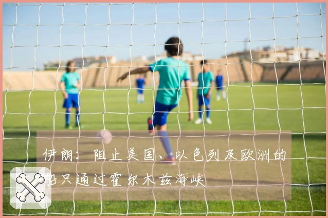 伊朗：阻止美国、以色列及欧洲的船只通过霍尔木兹海峡